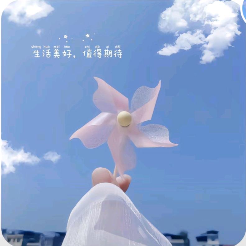 ✌︎(  谋财&悦己 )✌︎