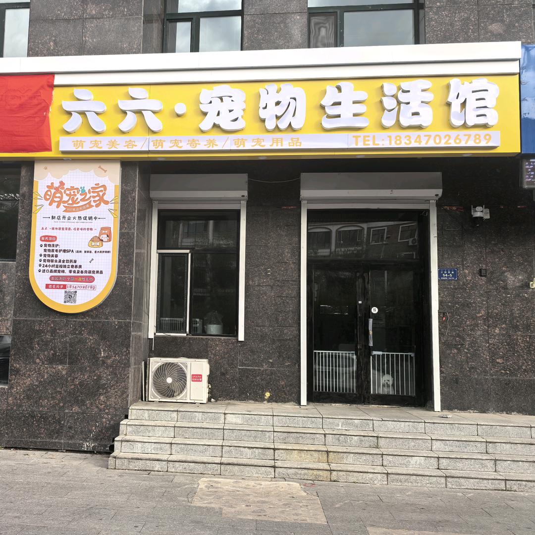 六六宠物生活馆