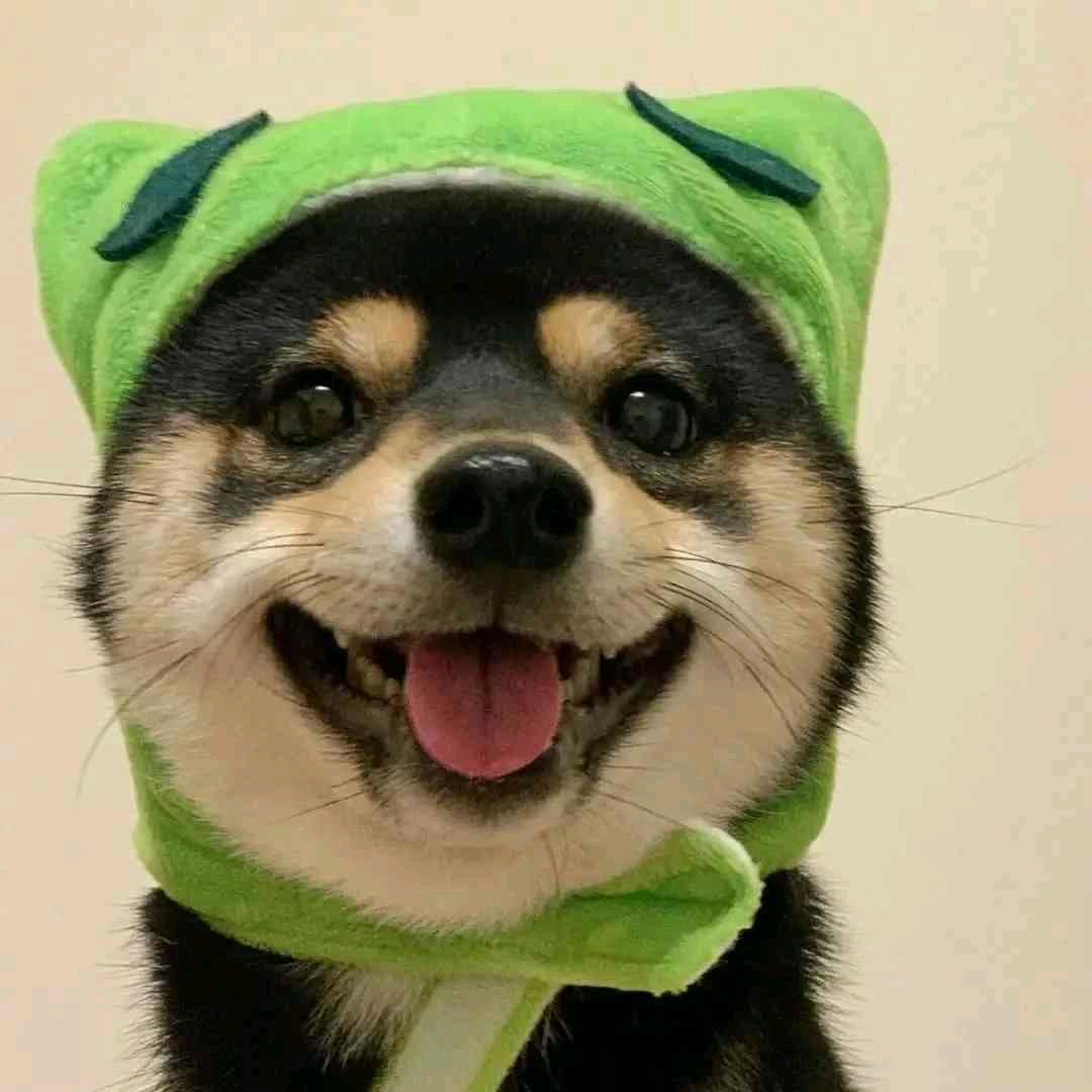 苏大娟