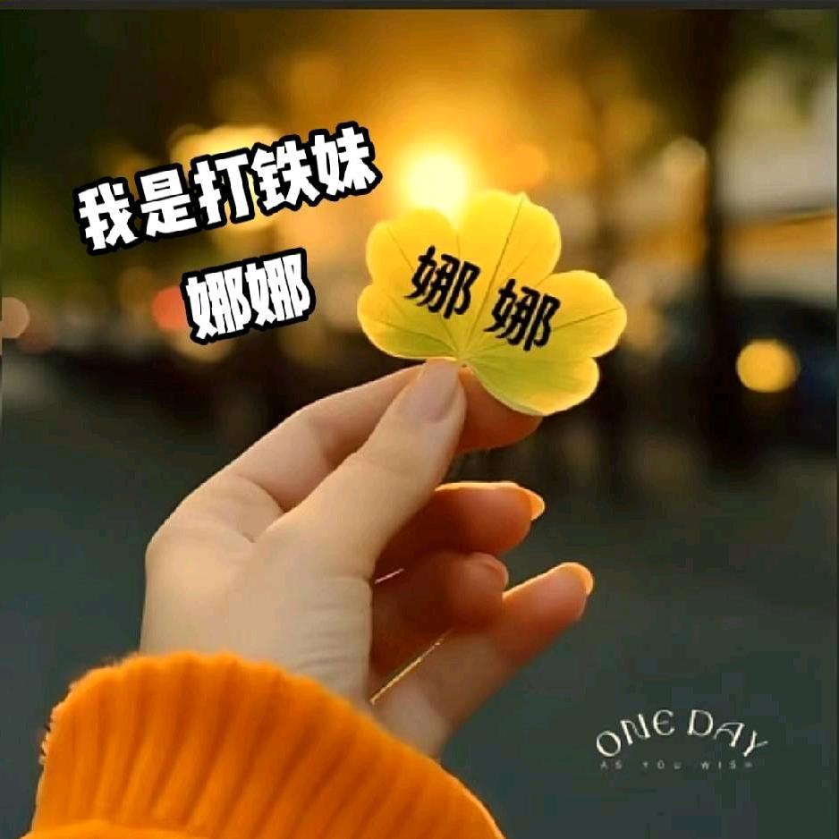娜娜姐（钢构）