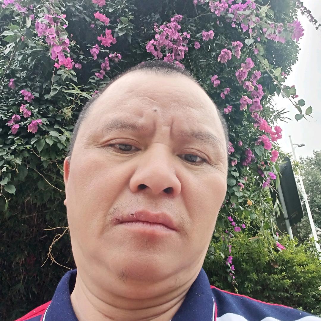 习惯牛（晚上9，10）