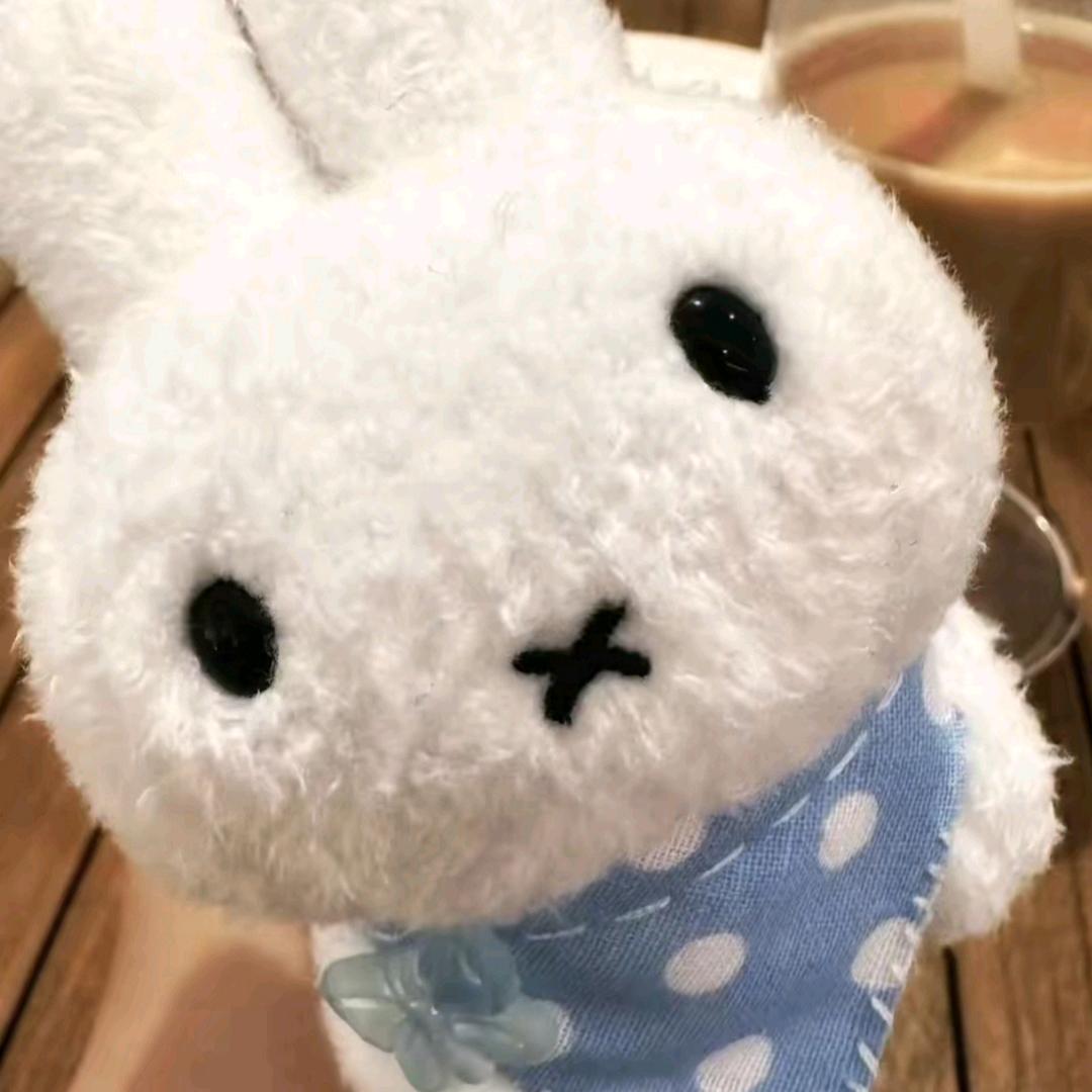 螺旋桨