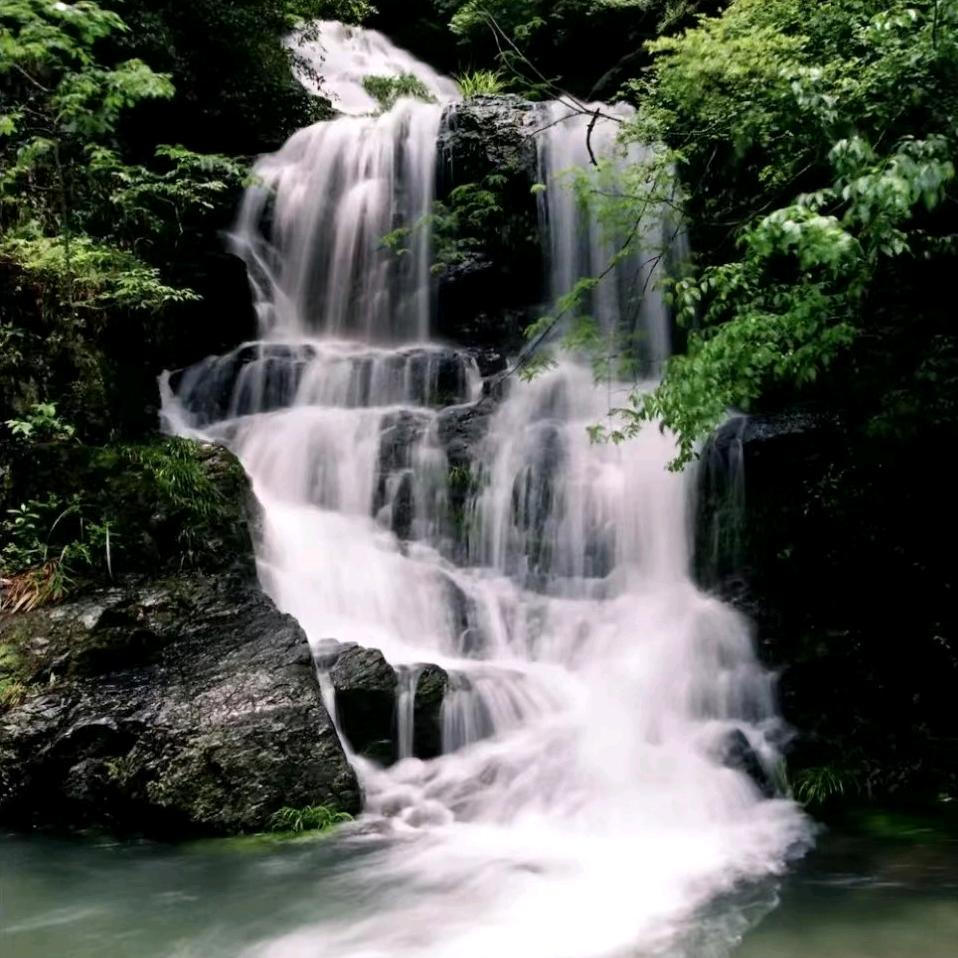 仙寓山泉    富硒水    嘉兴