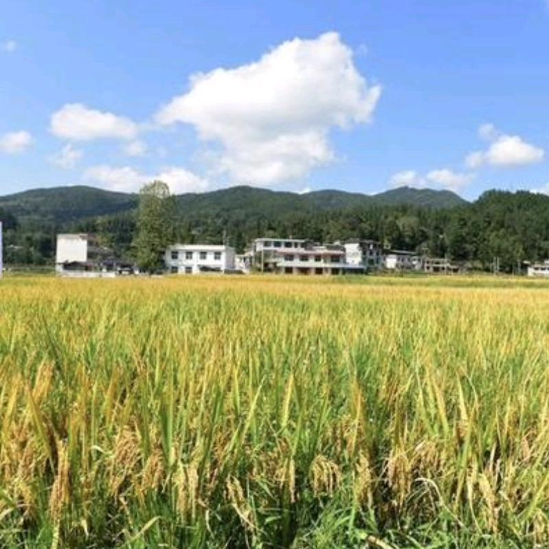 利和电器•格美汇净水设备