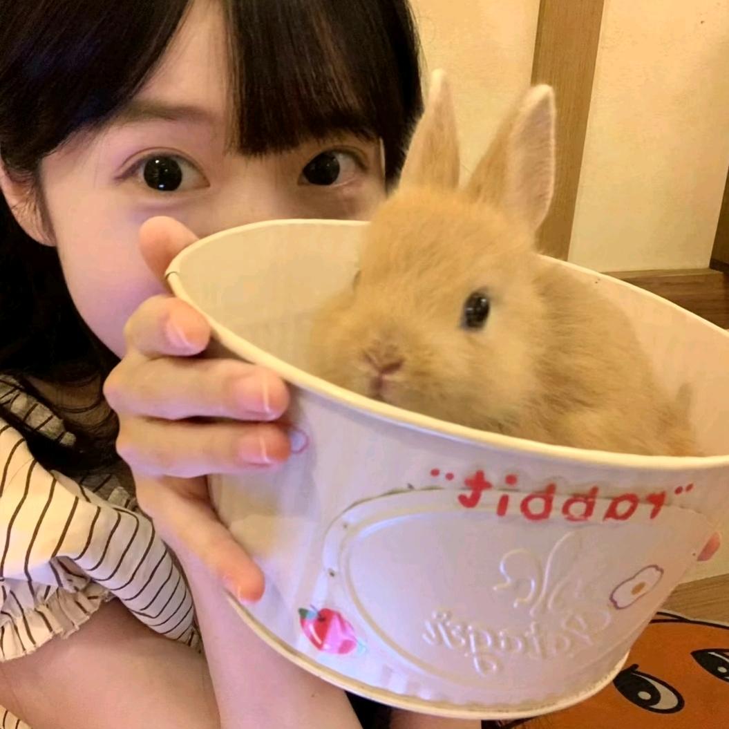 Bibabo