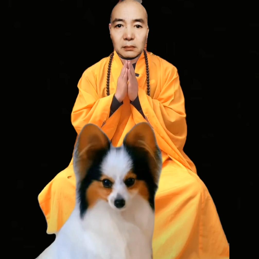 闻闻