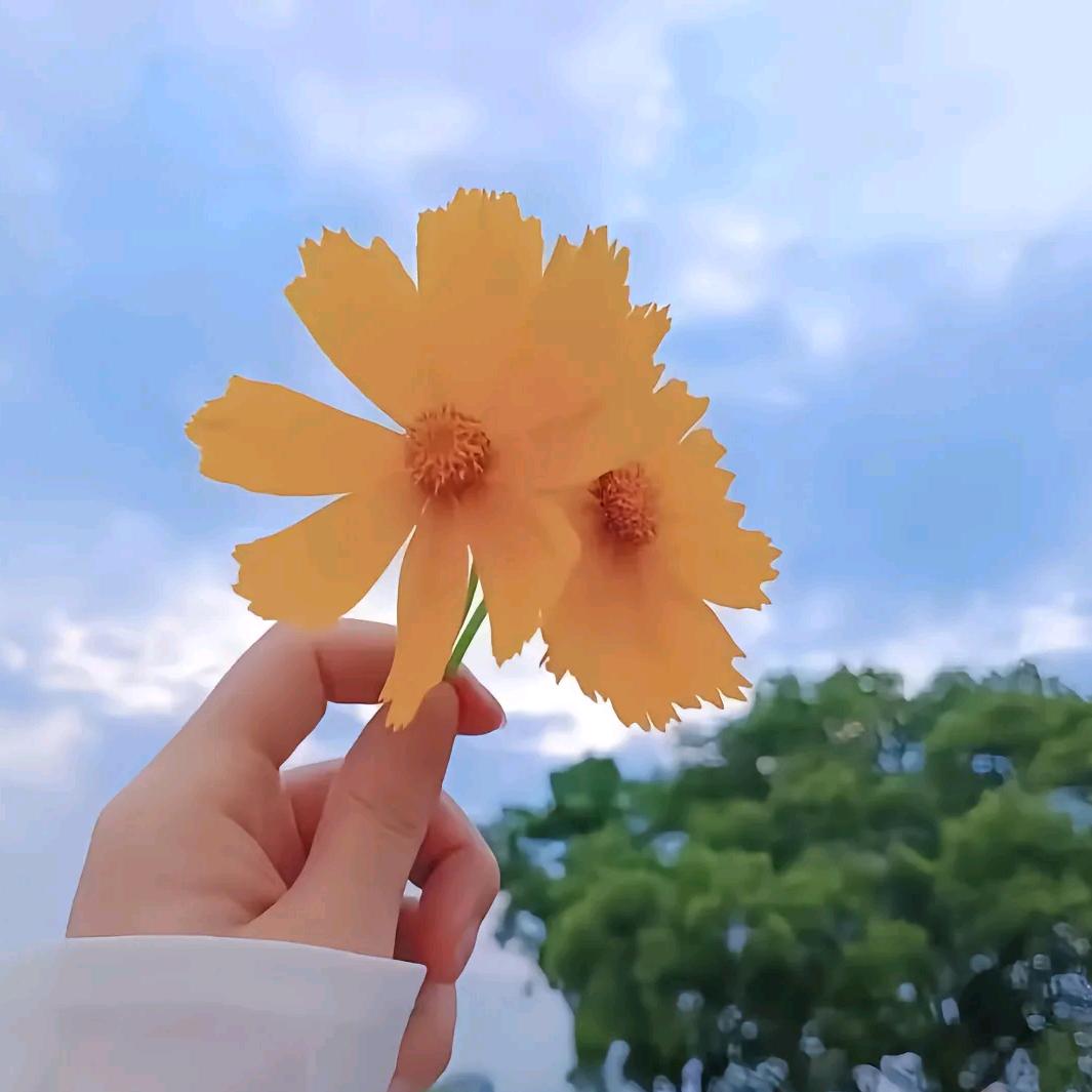 钓者装备库2