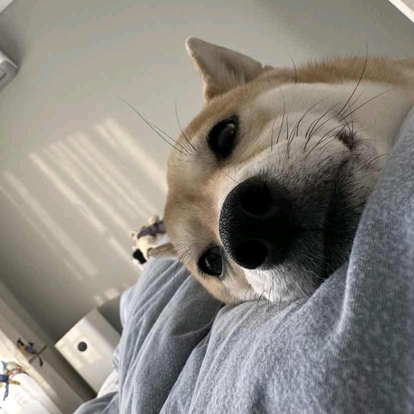 。