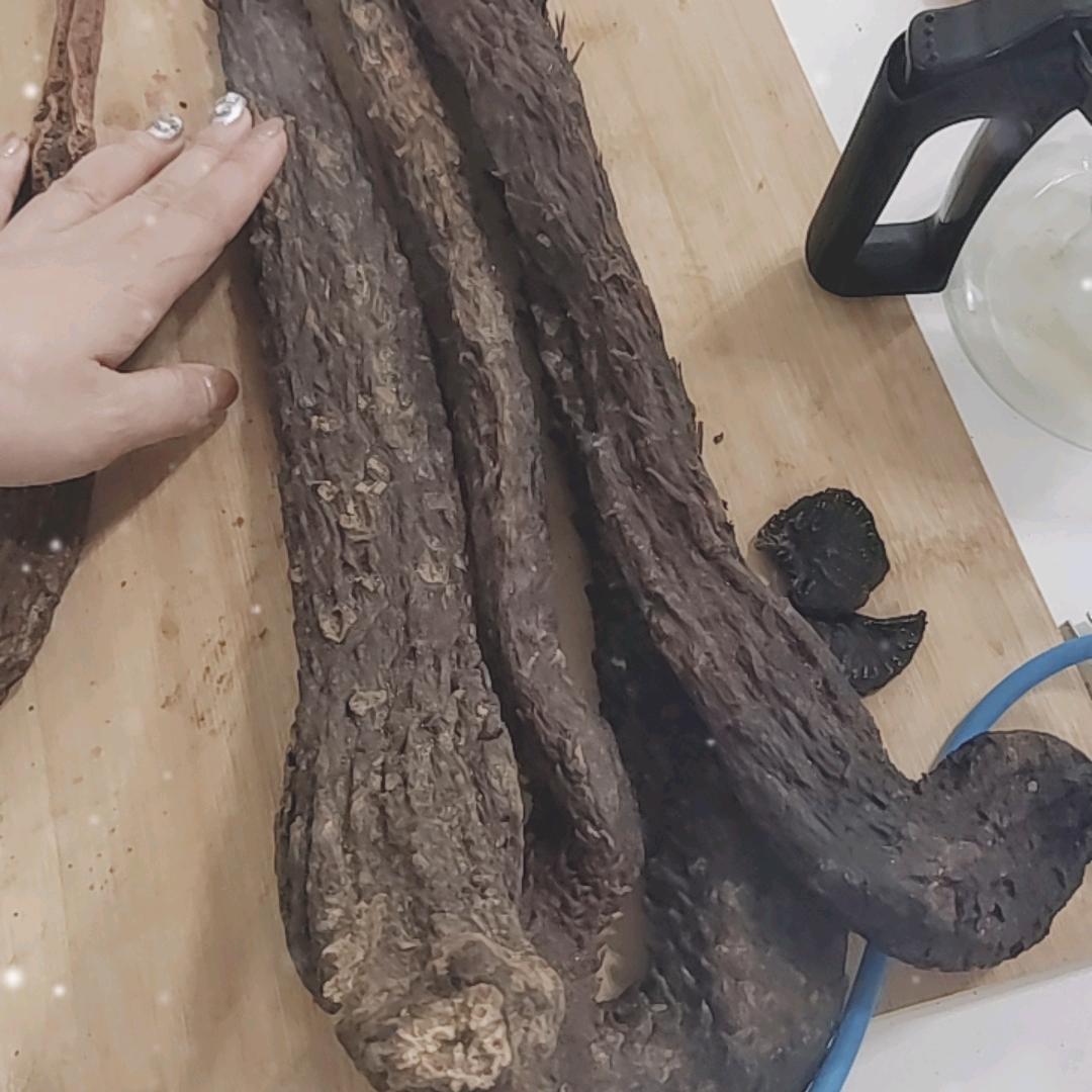 阿拉善大漠双雄