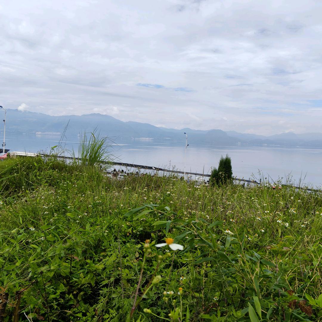 此号停用