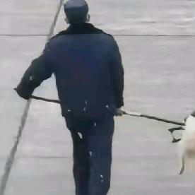 从百草园到三味书屋