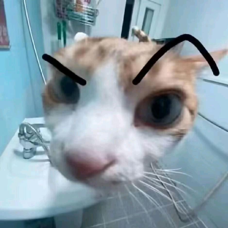 纽约市第一书记