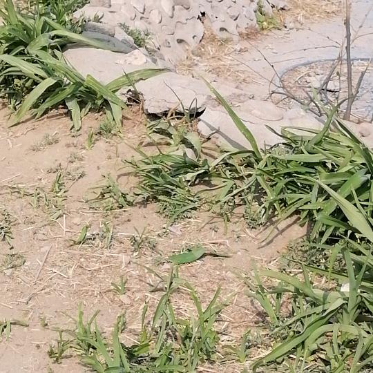 冬天不吃冰棍💤