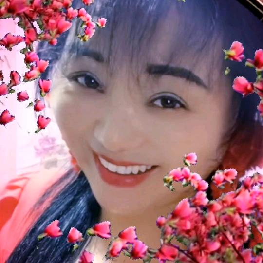 开心果果