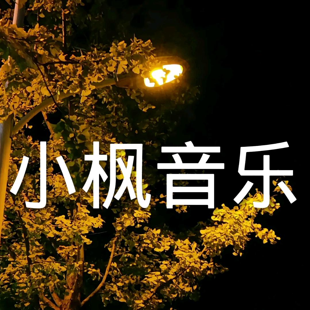 小枫音乐