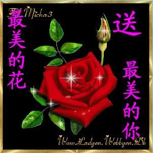 善愿
