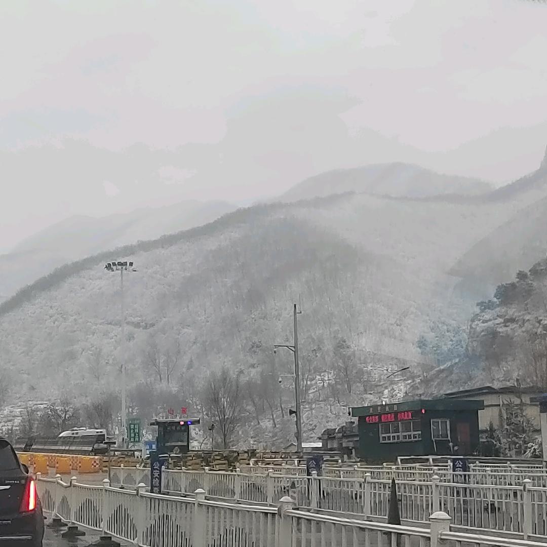沉着不冷静