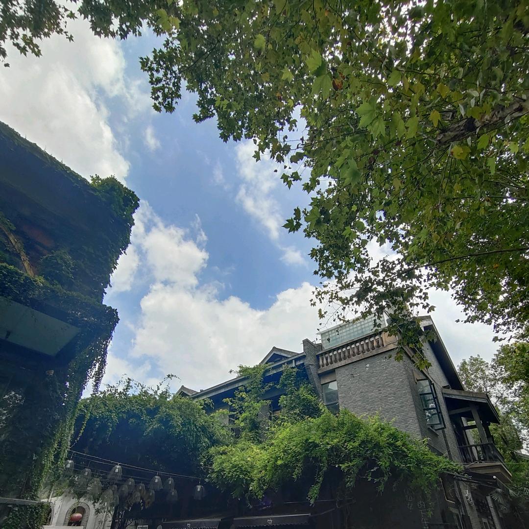 龙虾虾