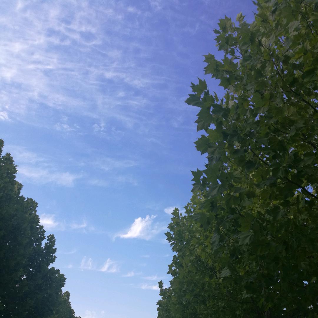 立起来