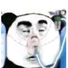 秦不错