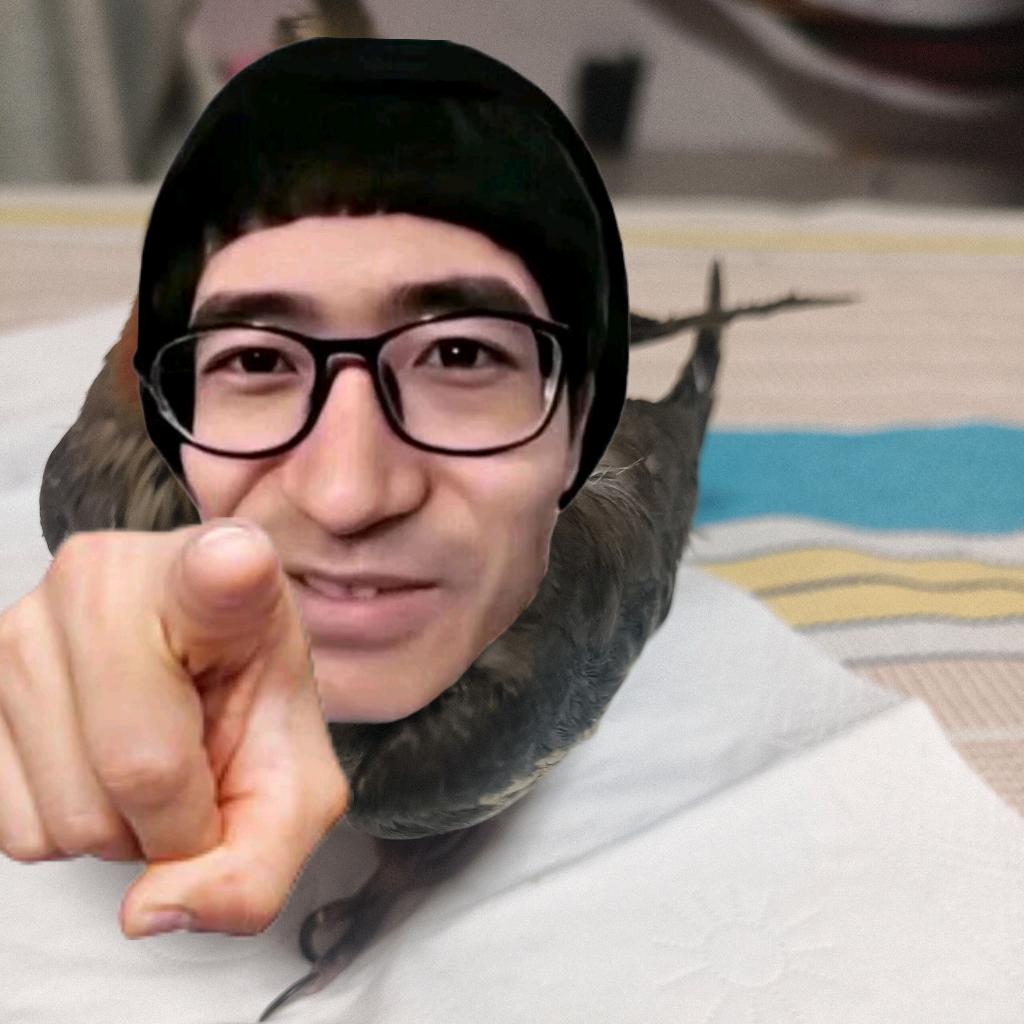 饭搭子