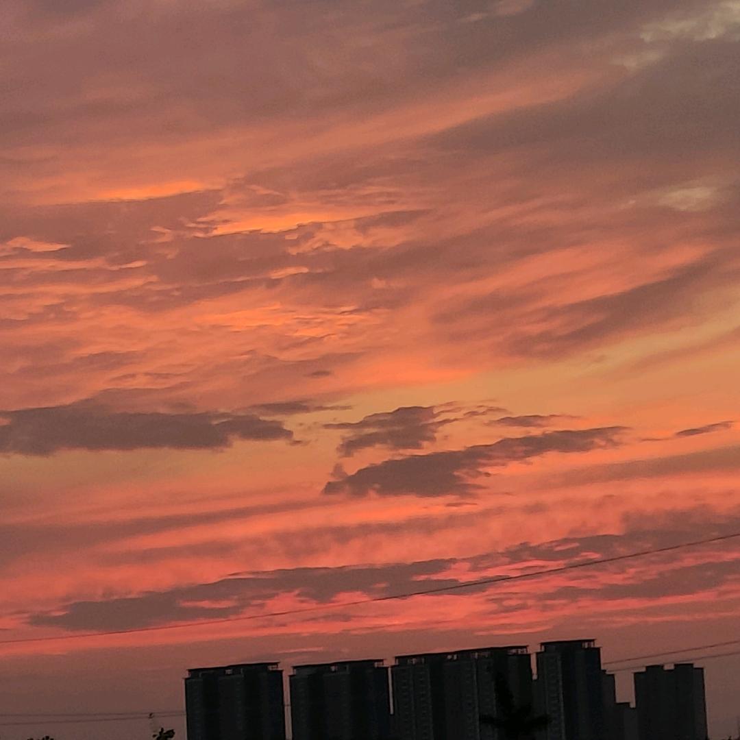 樱花宝贝