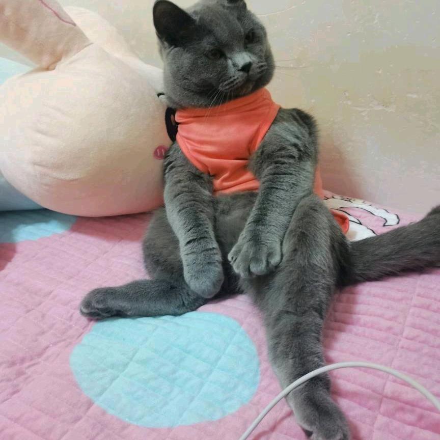 不发脾气只发财