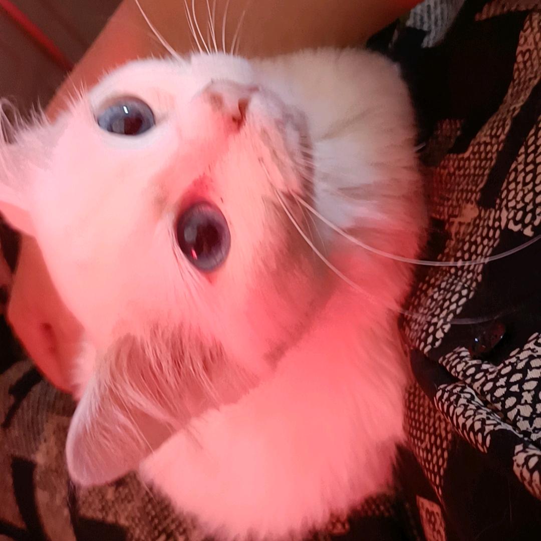 王秀一