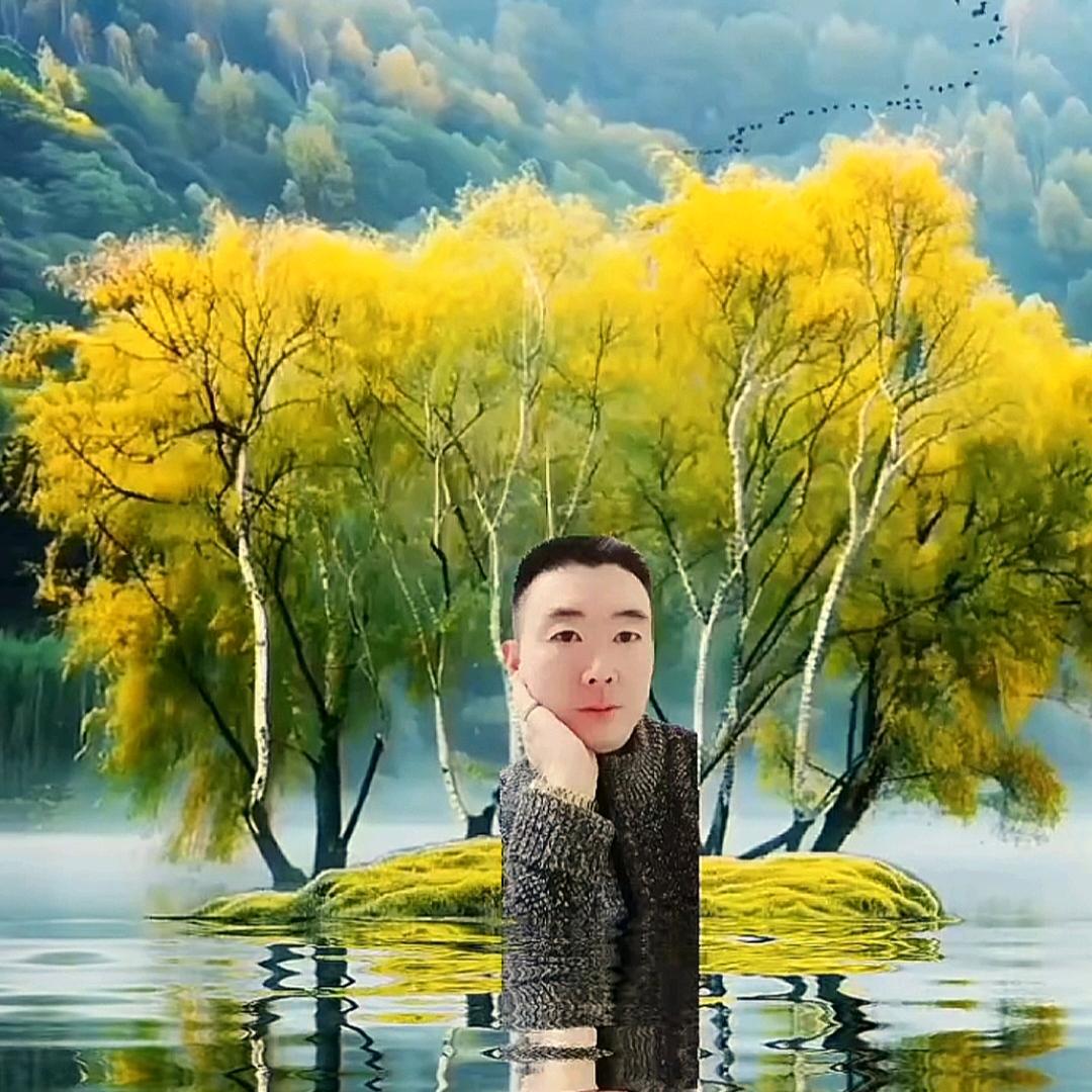 菩提之申1313🌟