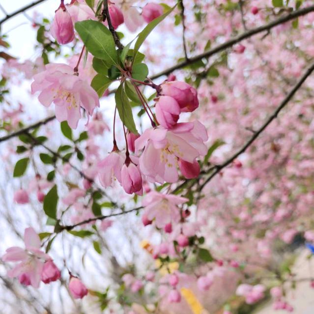 &雨墨&