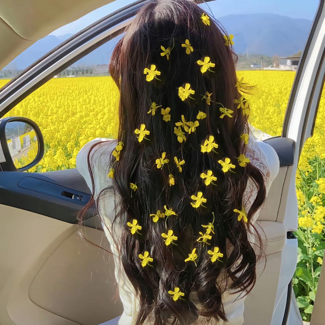 半亩桑田
