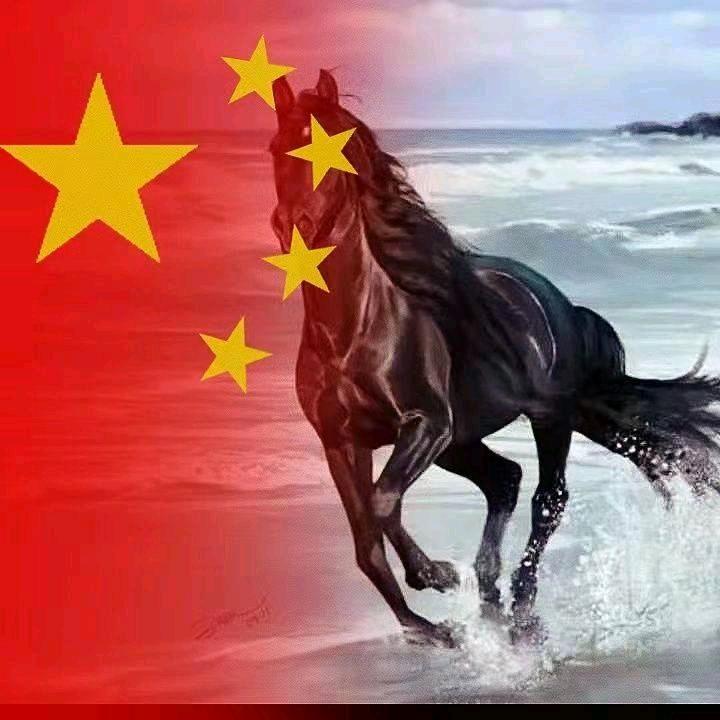 大哥