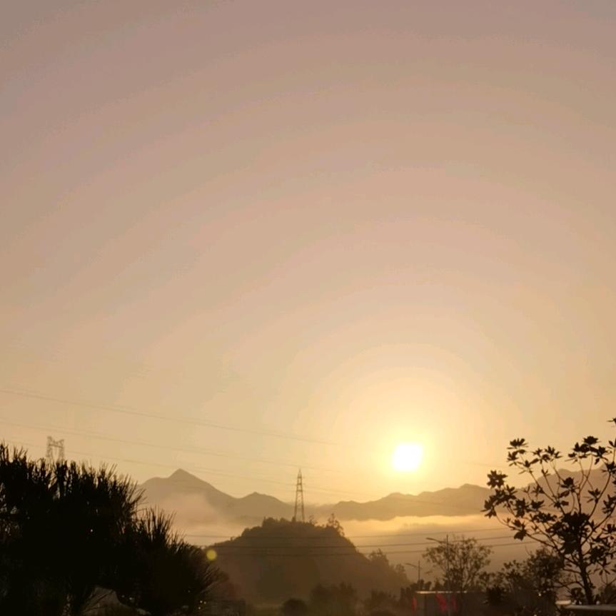 ღ᭄逆行人生꧔ꦿ᭄