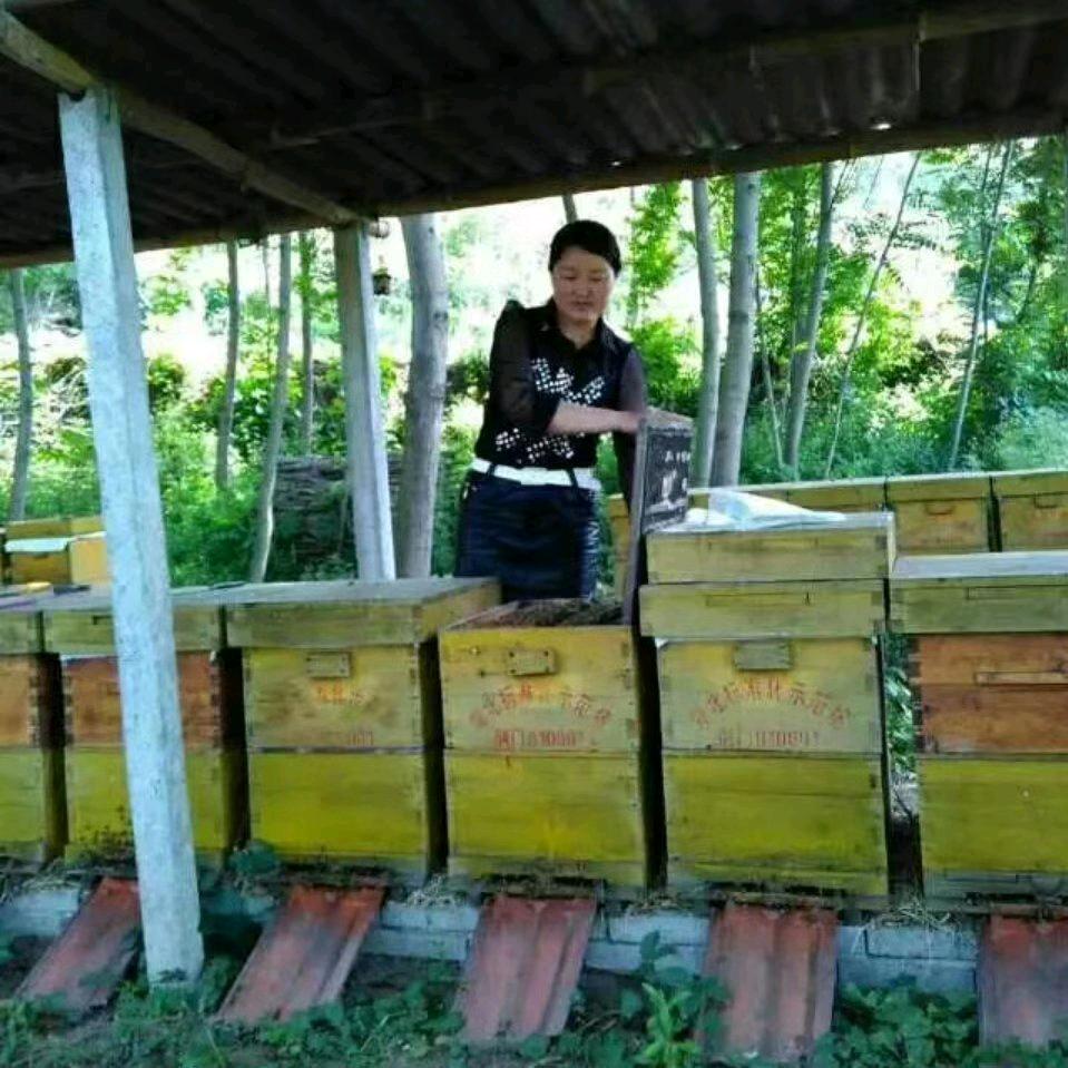 仙居（天星寨）蜜蜂园