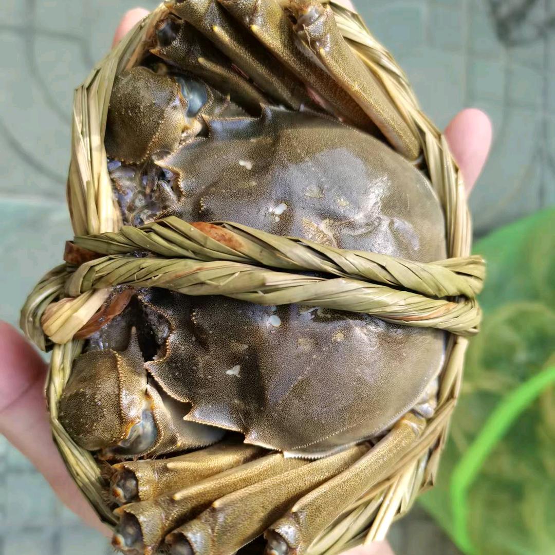 水美蟹肥