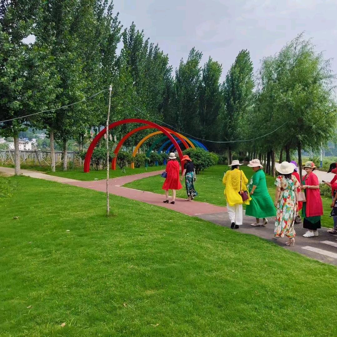 商南县过风楼镇柳树湾村扶贫助农产品