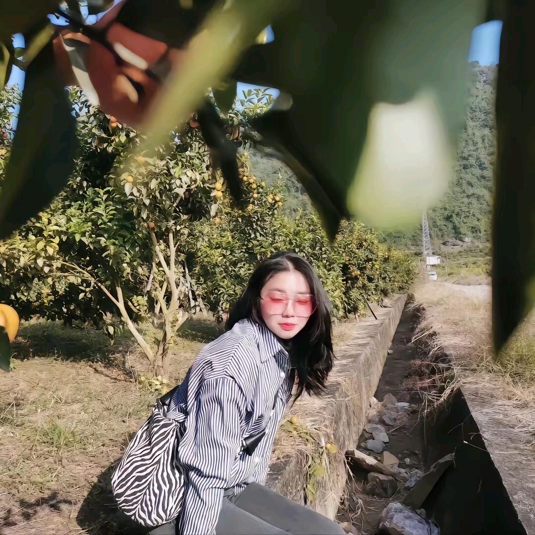 教书匠🌸～阿丹