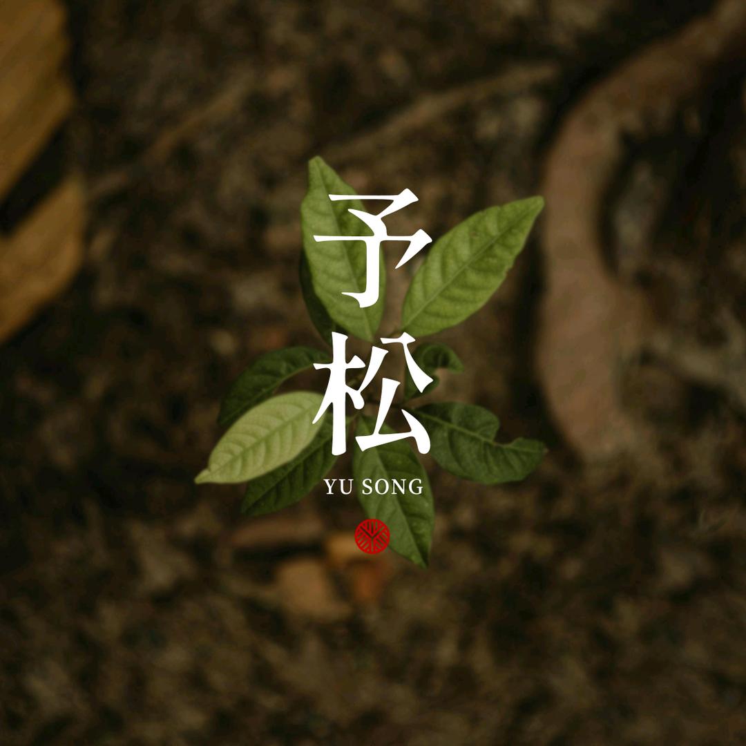 予松珠宝