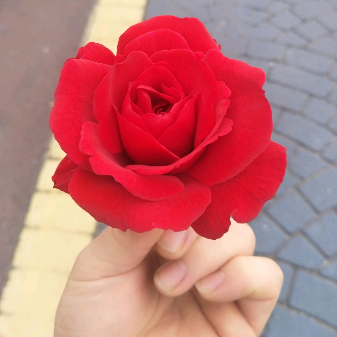 怀念♛☜青春