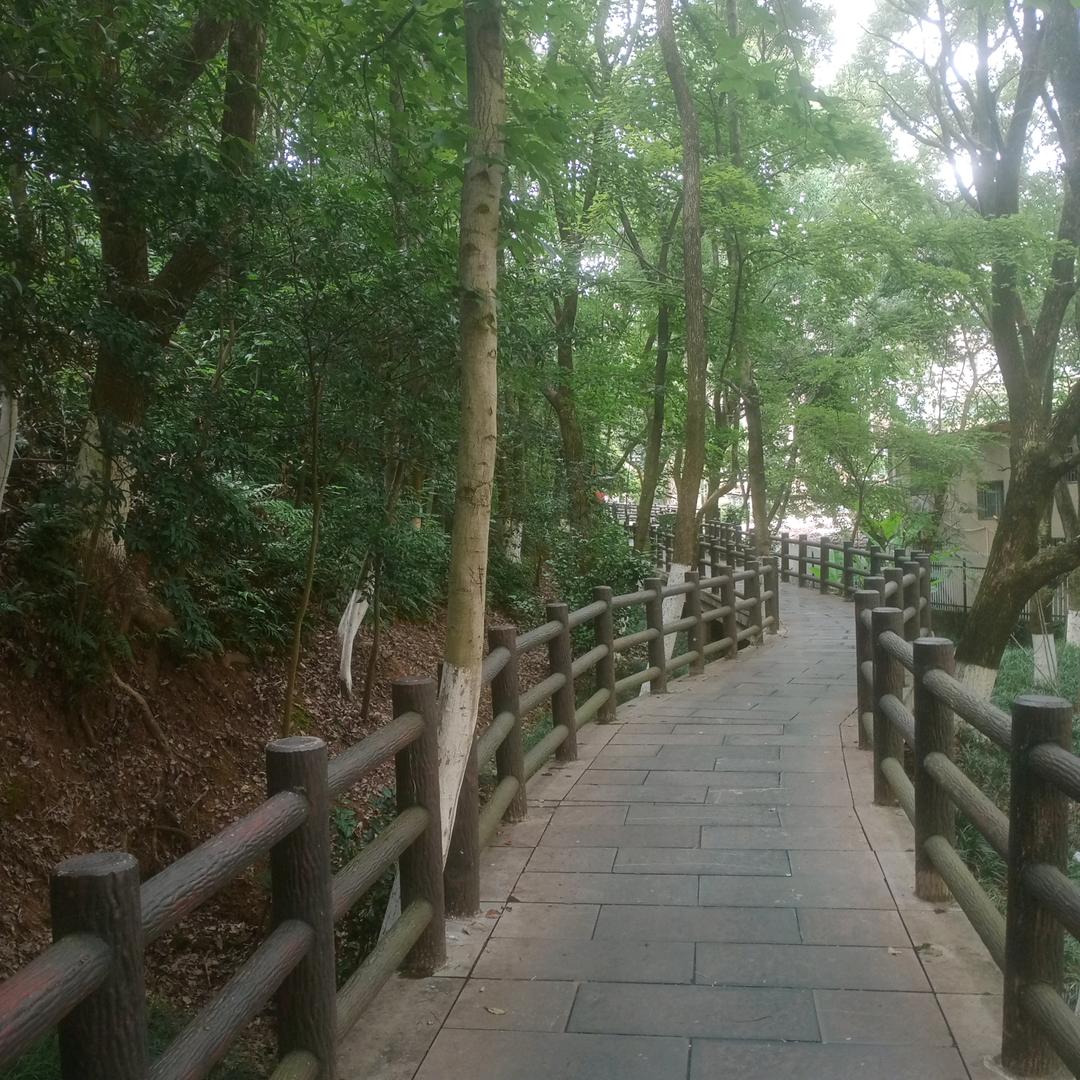 ～～～小蔡一碟～～～