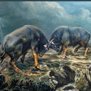 益丰地膜（赵）