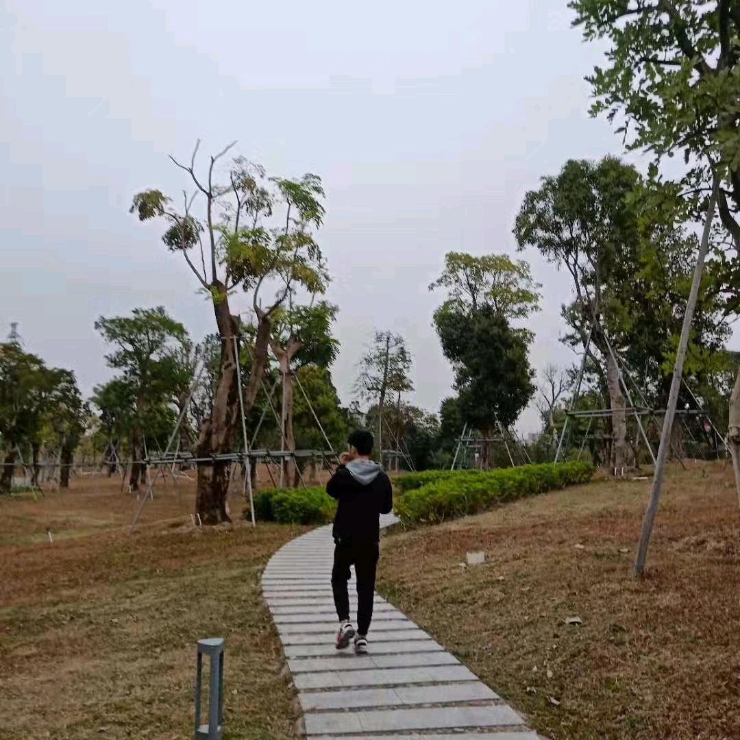 情癌