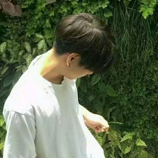 只羡鸳鸯不羡仙