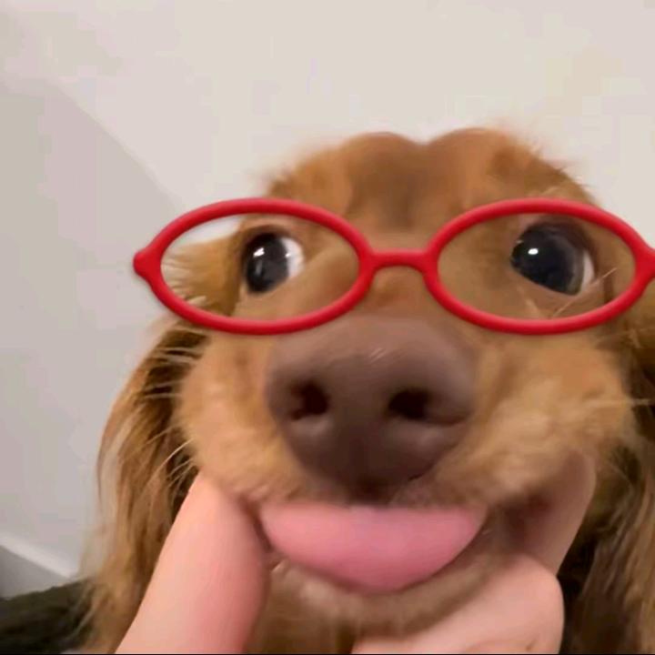 瓦达西