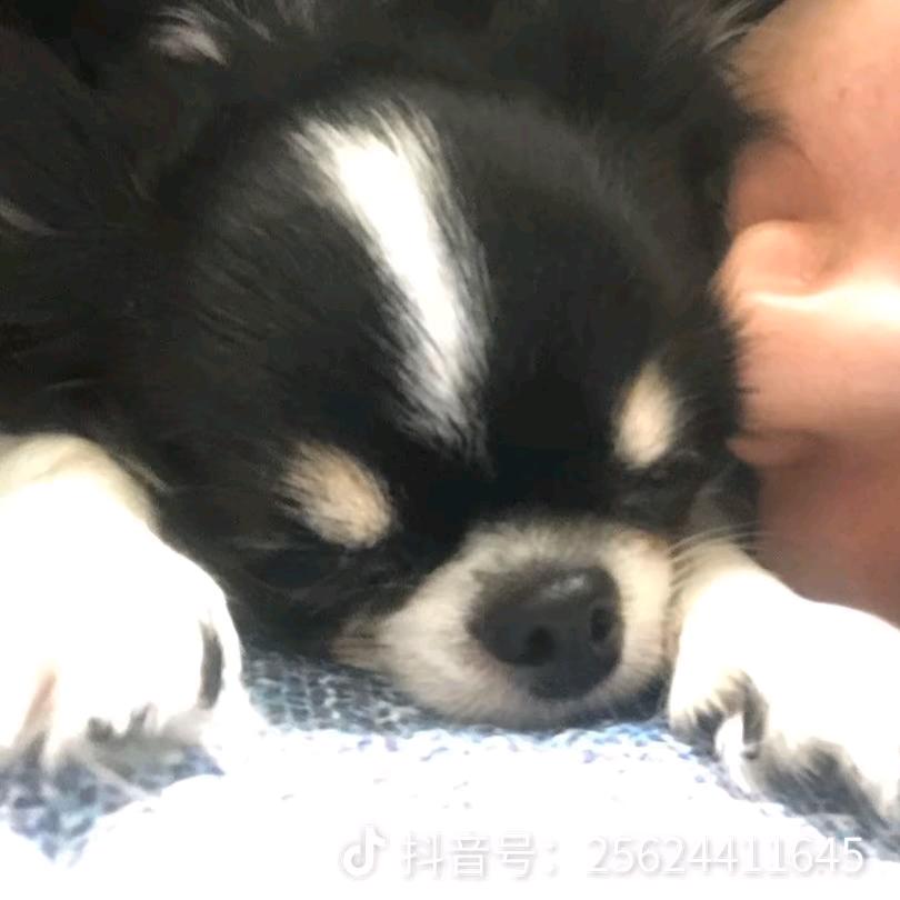 相机很盲
