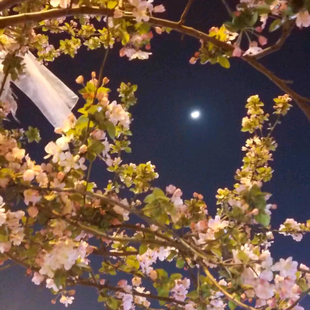 ꧁꫞鱼💞刺꫞꧂