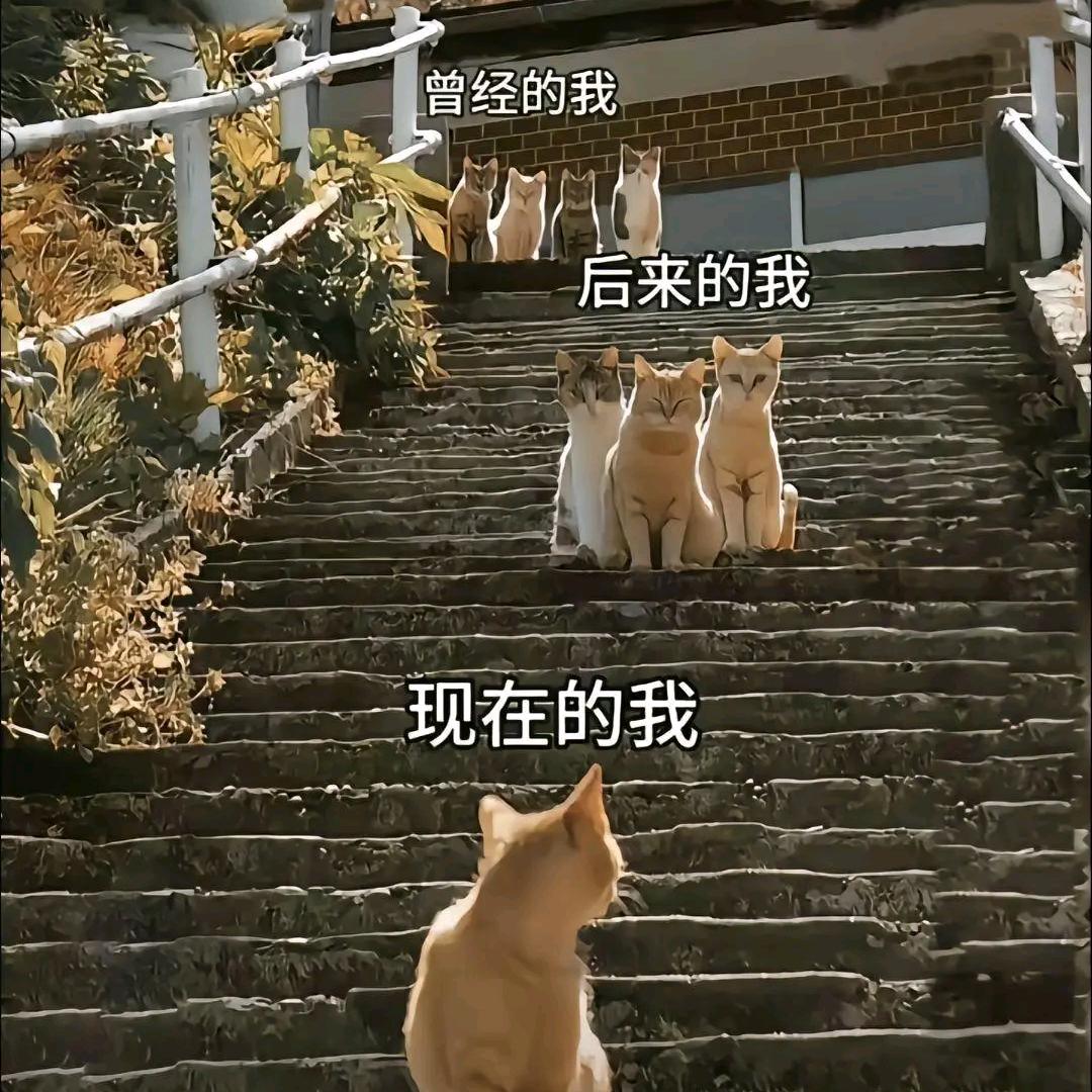 ꧔ꦿ℘㞮᭄ᩚ꯭ᩚ꧔ꦿ孞