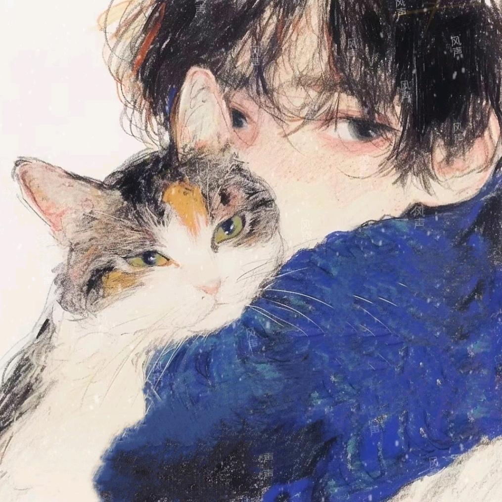看见猫的雨