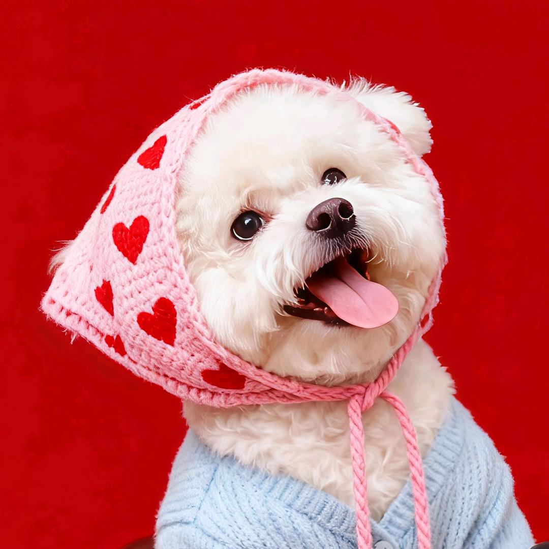 哈妮《首播晚上21：00》