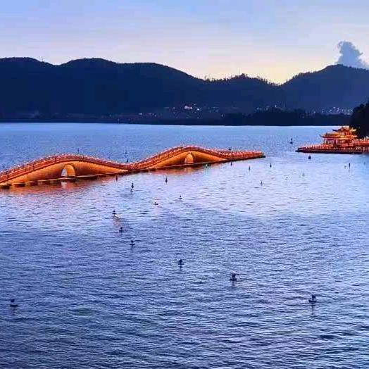 🎄你→爱～我←像谁🎄